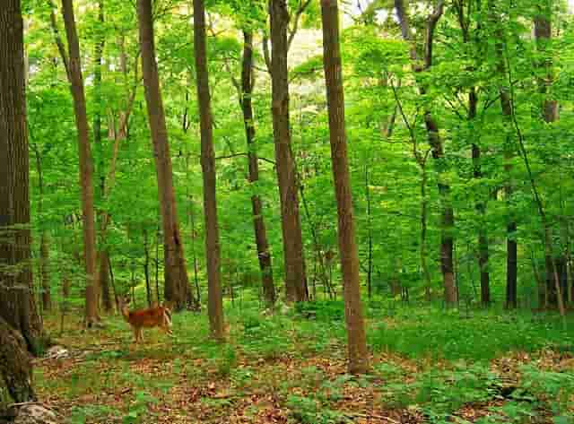 七一徽章获得者有哪些人