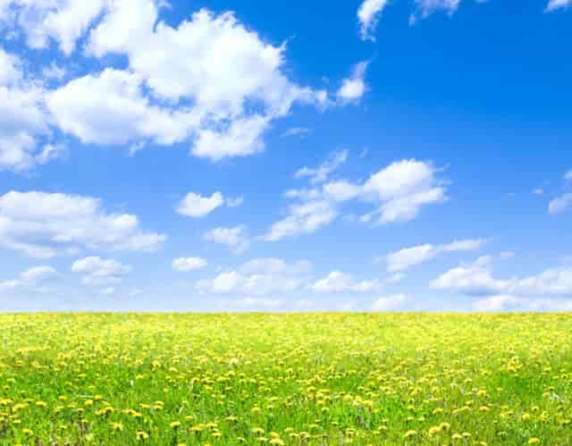 奥运会还有比赛吗