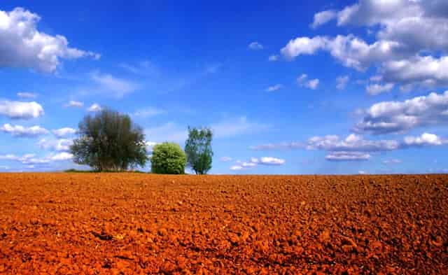 老年人适合打新冠疫苗