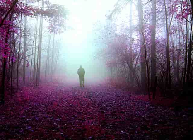 丰田塞纳室外温度在哪里看