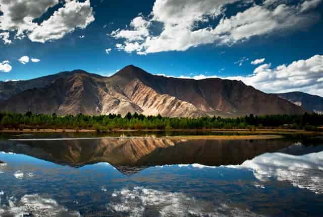 事业单位人事安排